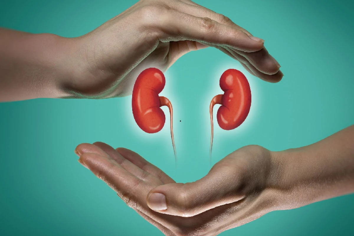 Böyrək çatışmazlığına səbəb olan [[6 qida açıqlandı]]