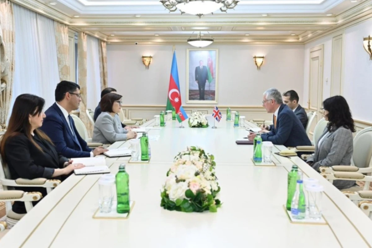 [[Milli Məclisin]] sədri Britaniya səfiri ilə görüşdü