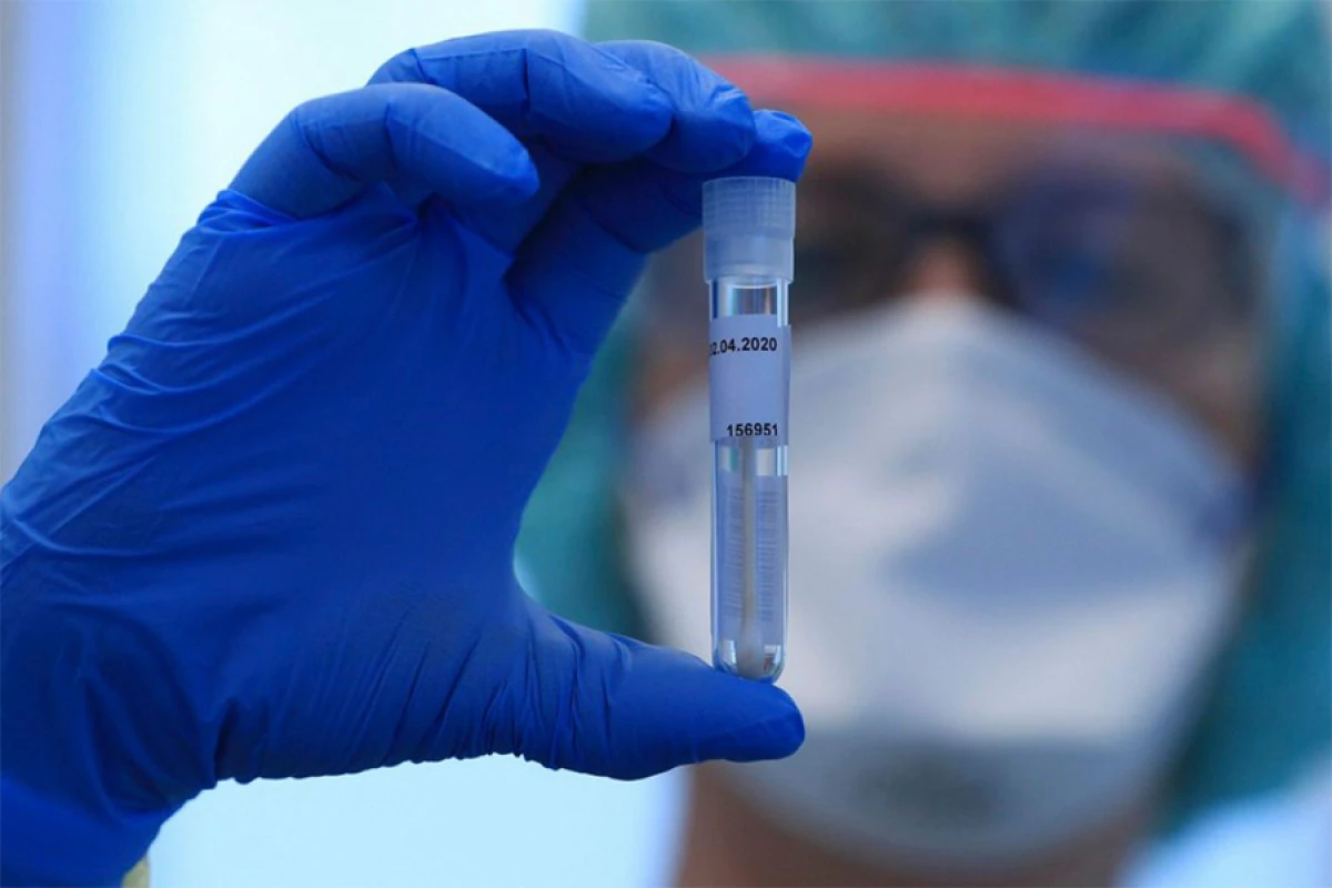 Türkiyədə həyəcan[[: Hantavirus...]]