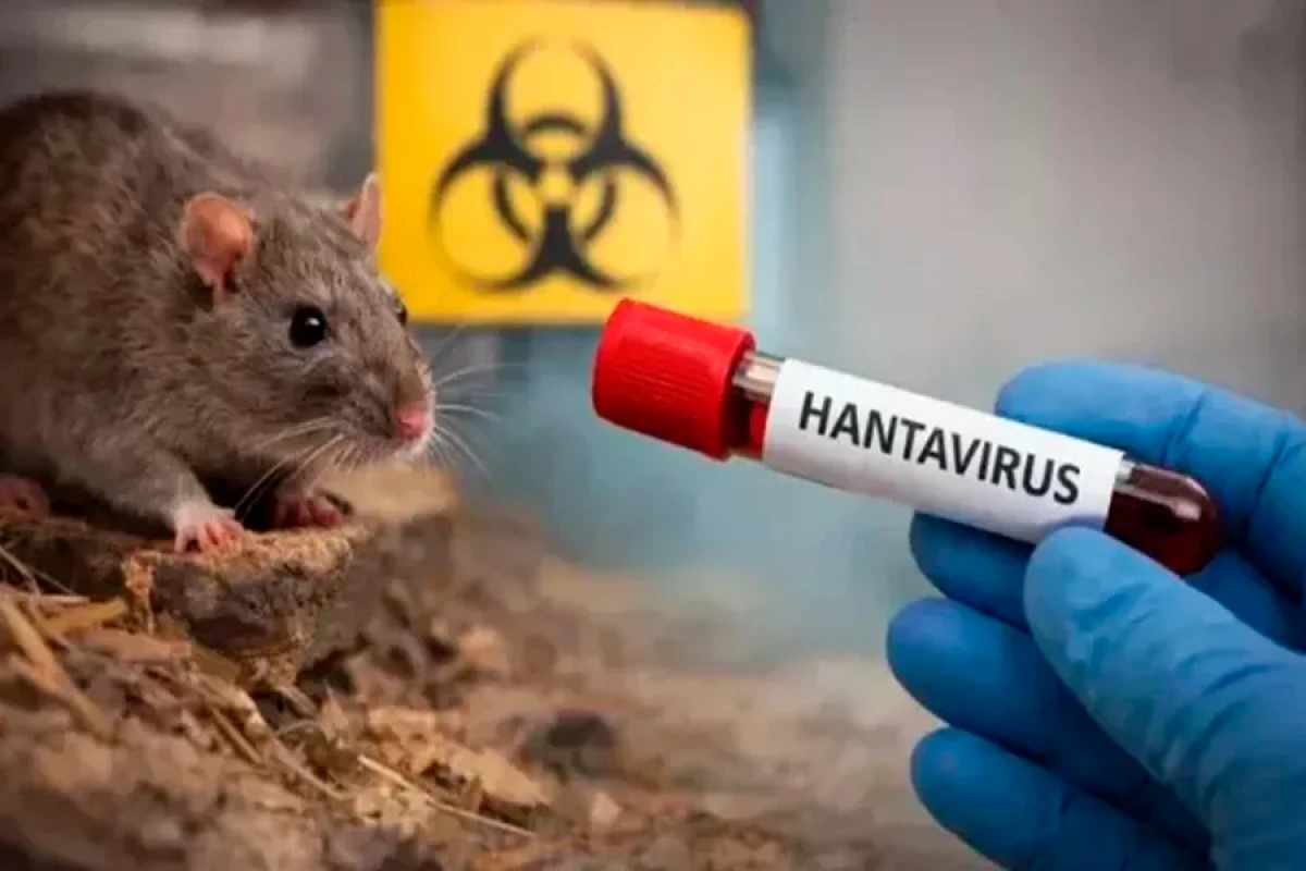Hantavirus Azərbaycana keçib? [[– Nazirlikdən cavab]]