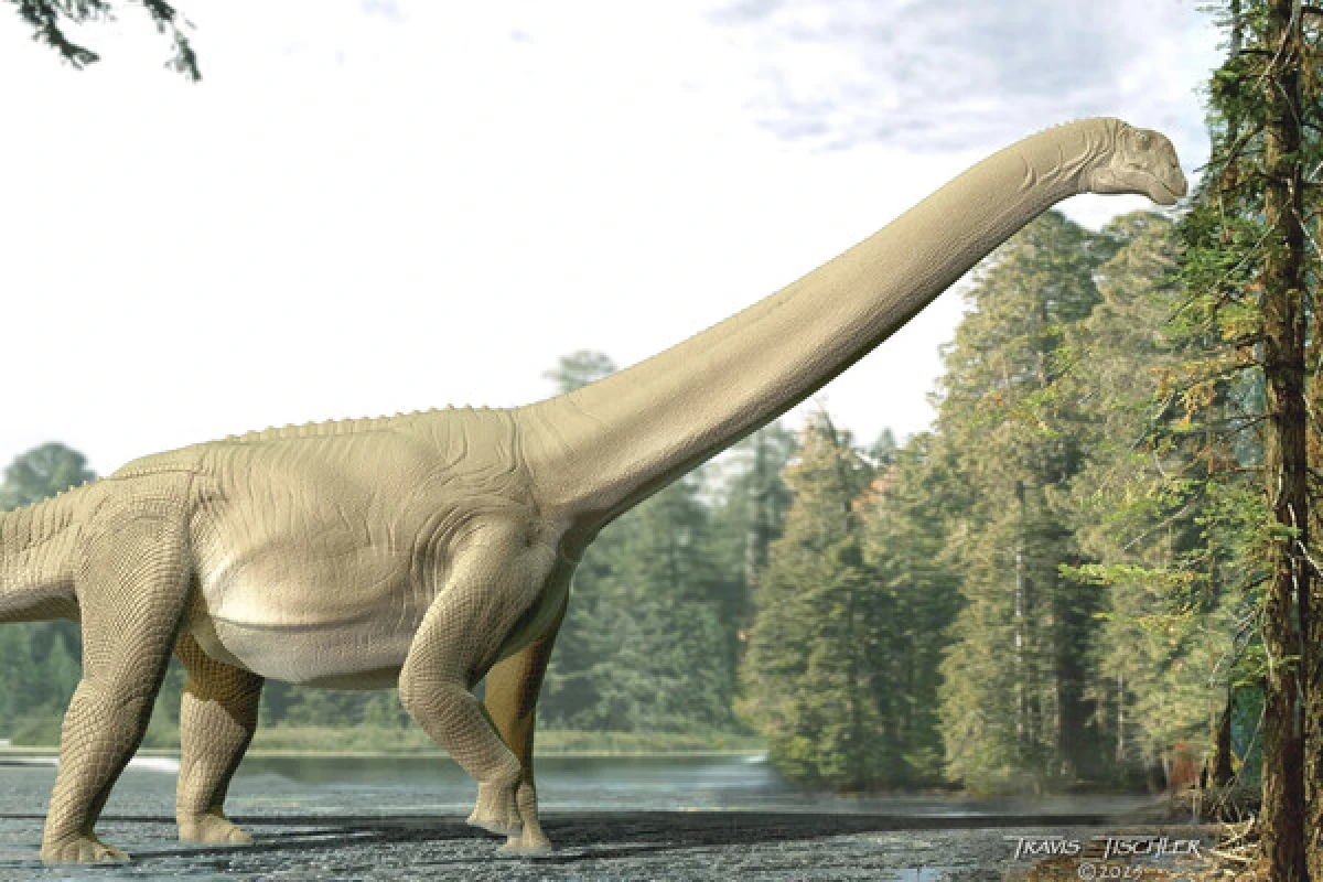 Tailandda nəhəng [[yeni dinozavr növü]] aşkarlandı