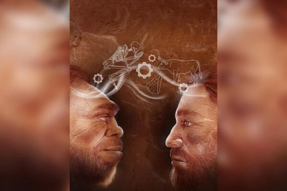 Neandertalların stomatoloji sirləri: [[60 min il əvvəl diş əməliyyatı]]