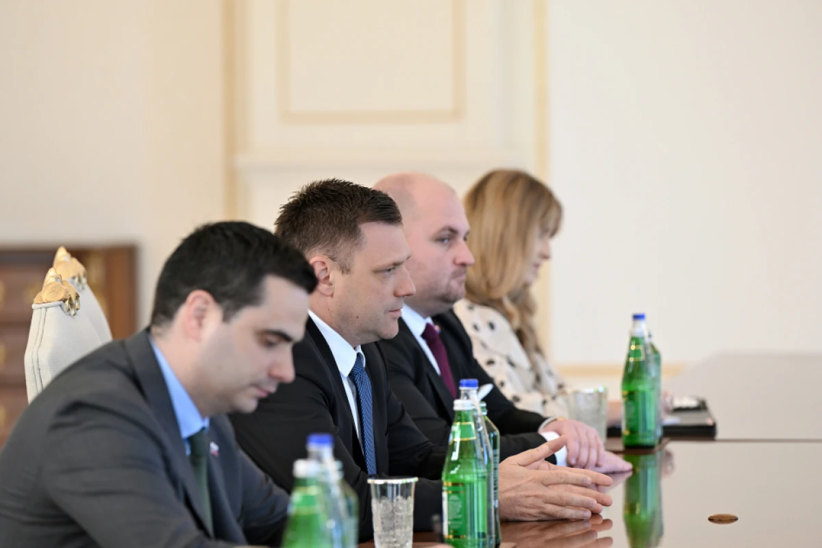 Prezident Slovakiya Baş nazirinin müavinini qəbul etdi — 2