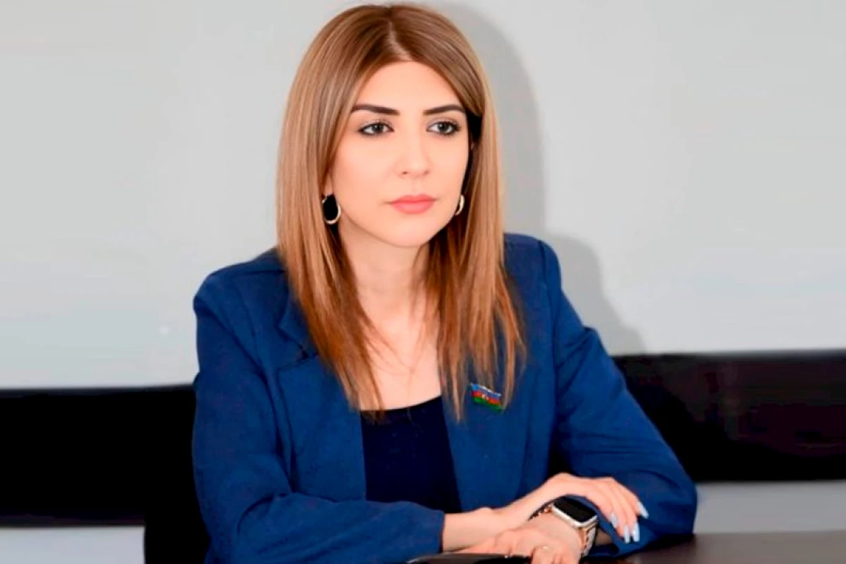 "Uşaqpulu verilsə, kişilər işləməz" [[- Günay Ağamalı]]