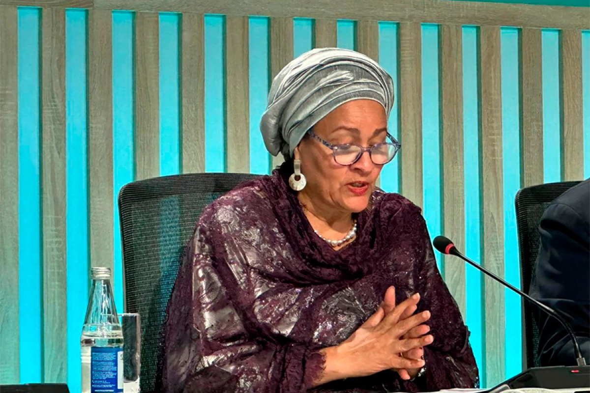 Amina Məhəmməd: Azərbaycan bizi öyrədir