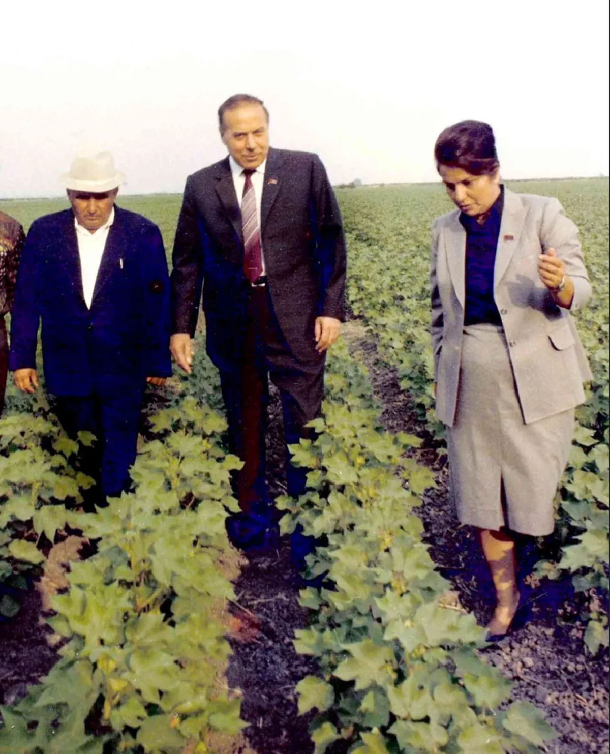 İki rayona rəhbərlik etmiş Almaz Hacıyeva vəfat etdi — 1