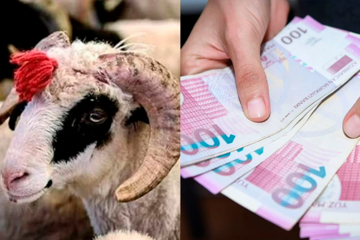 Borcla qurban kəsmək olar? - AÇIQLAMA