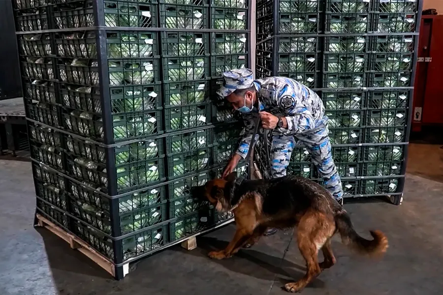 Astarada gömrükçülər "Kahı" qutularını açdılar - 23 kilo narkotik