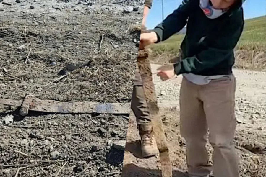 Norveçdə altı yaşlı uşaq 1300 illik vikinq qılıncı tapdı - FOTO