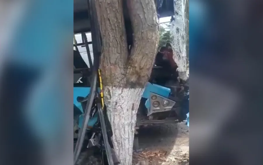В Баку маршрутный автобус врезался в дерево, пострадали 11 человек