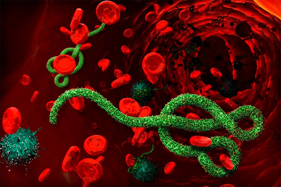 Konqoda Ebola virusundan ölənlərin sayı kəskin artdı