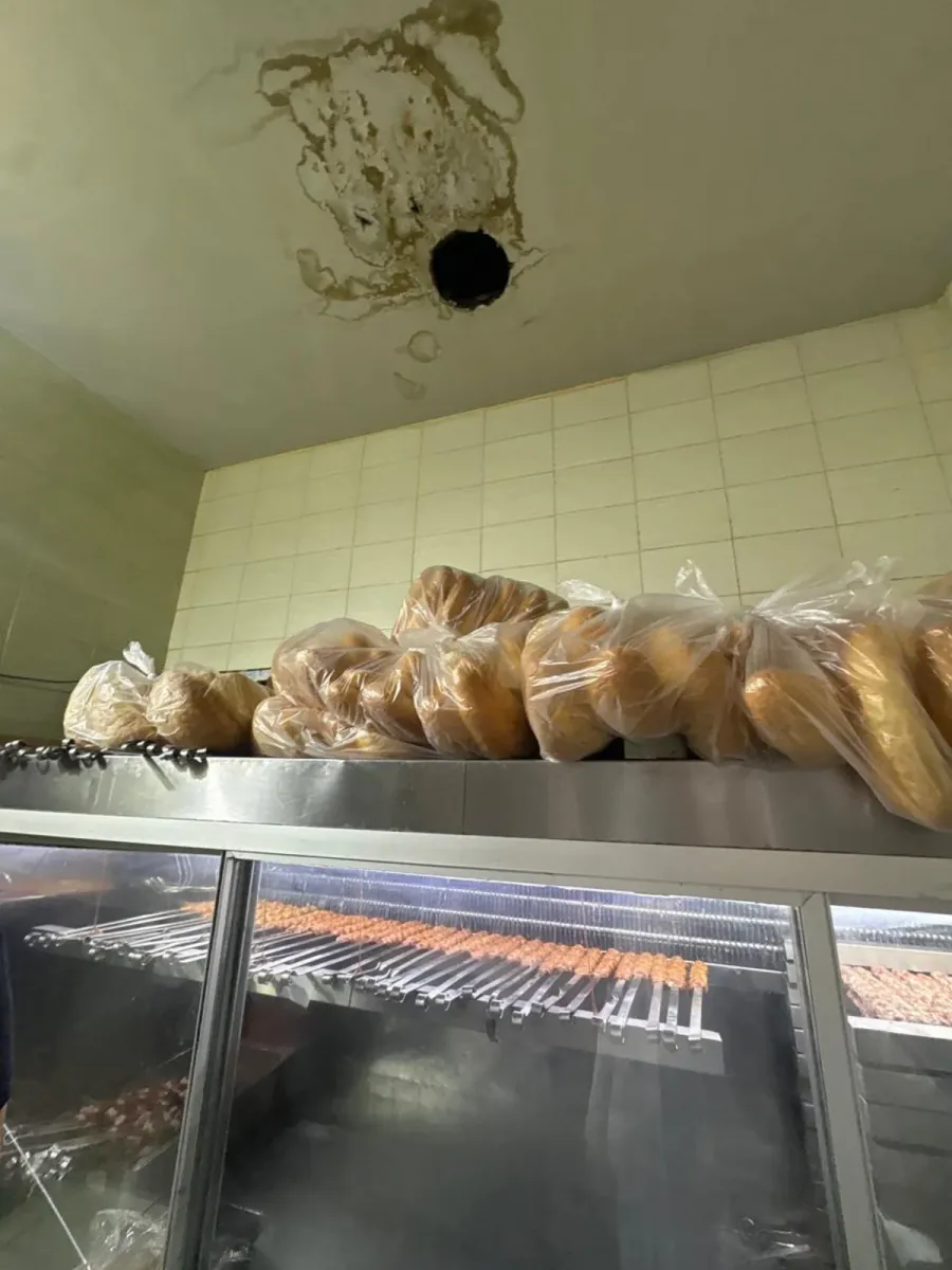 Məşhur kabab evində at DNT-si tapıldı — 2