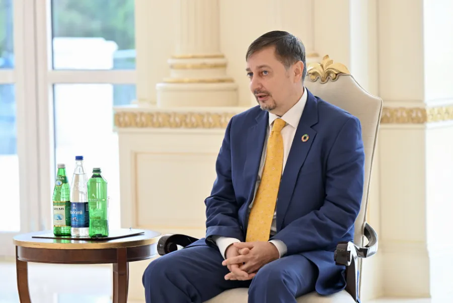 Prezident BMT-nin yeni təyin olunmuş rezident əlaqələndiricisini qəbul etdi — 1