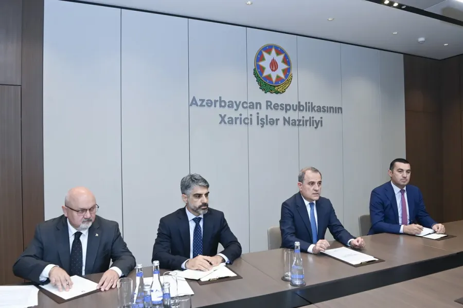 Ceyhun Bayramov İsveçin yeni səfiri ilə görüşdü — 2