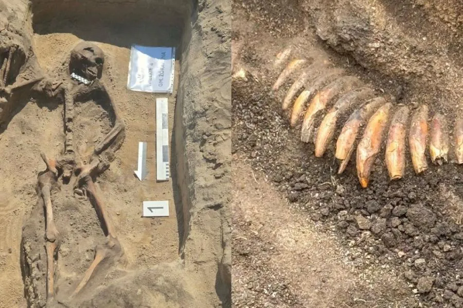 Arxeoloqları heyrətə gətirən tapıntı - Torpağın altından 5 min illik skelet çıxdı