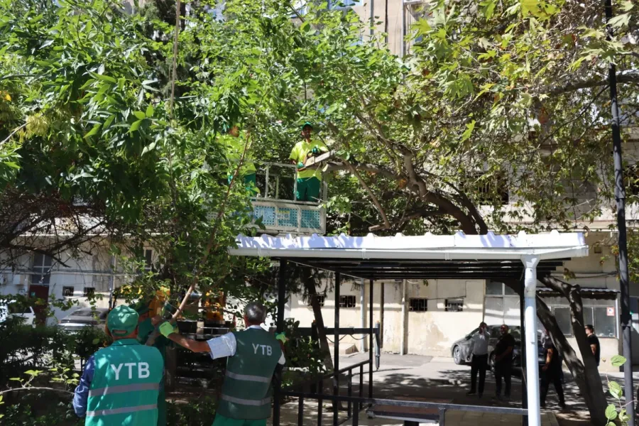Bakıda güclü küləklərlə bağlı qabaqlayıcı tədbirlər görüldü — 1