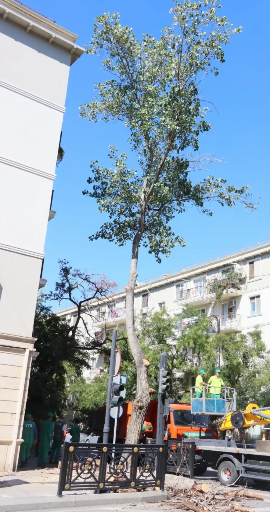 Bakıda güclü küləklərlə bağlı qabaqlayıcı tədbirlər görüldü — 2