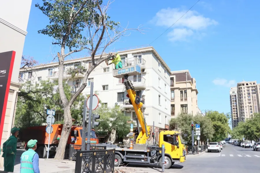 Bakıda güclü küləklərlə bağlı qabaqlayıcı tədbirlər görüldü — 3