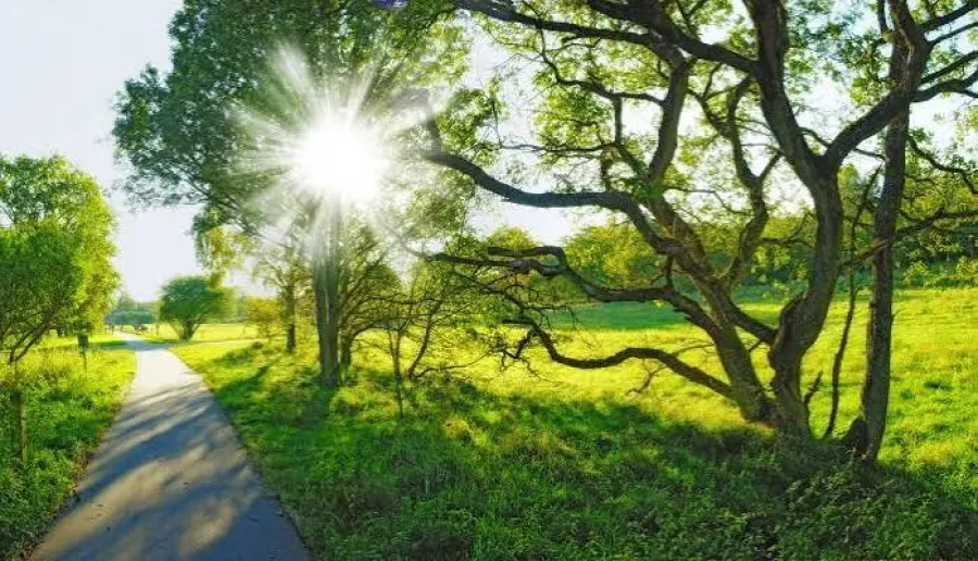 Sabah Azərbaycanda 34 dərəcə isti olacaq