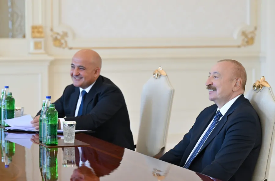 Президент принял Адебайо Огунлеси — 4
