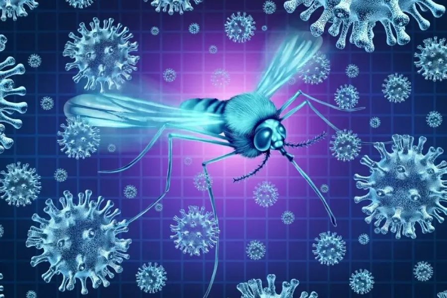 Avropada təhlükəli virus can alır: Niderlandda ölənlərin sayı 9-a çatdı