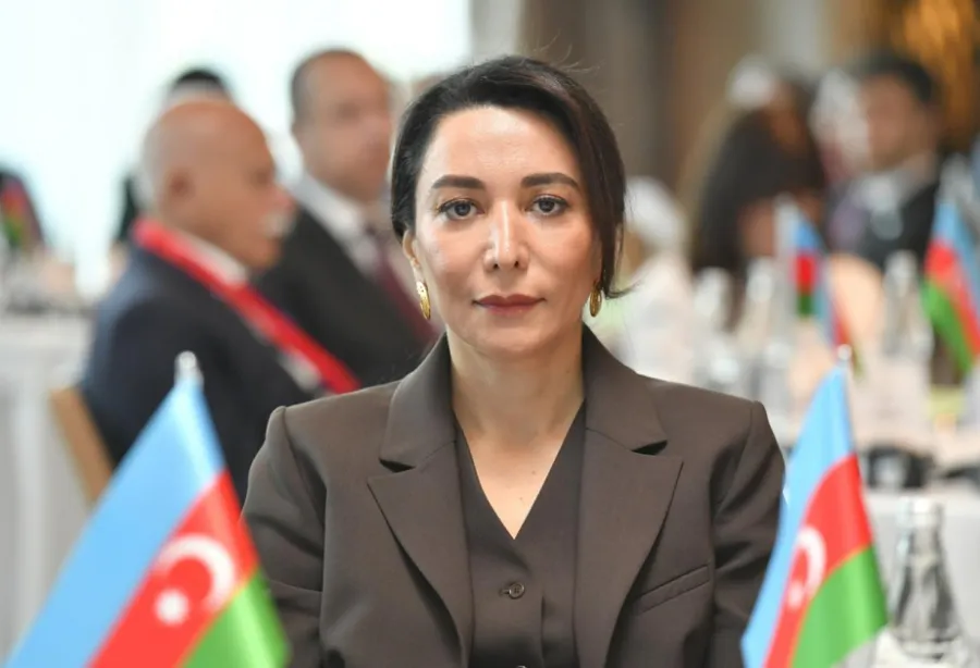 Ombudsmanın maaşı 4 dəfə artırıldı - Prezident təsdiqlədi