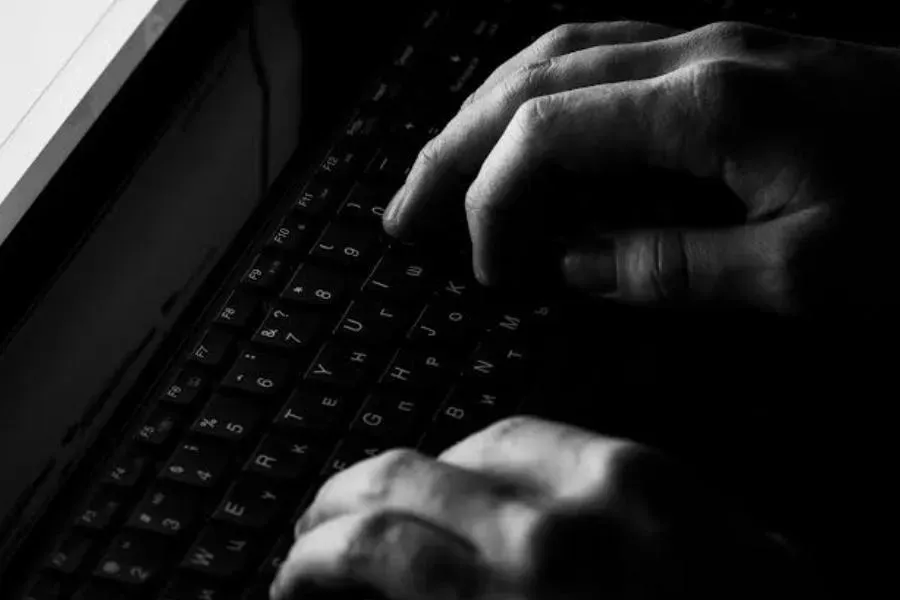 Cyber alert in Germany: Websites taken offline