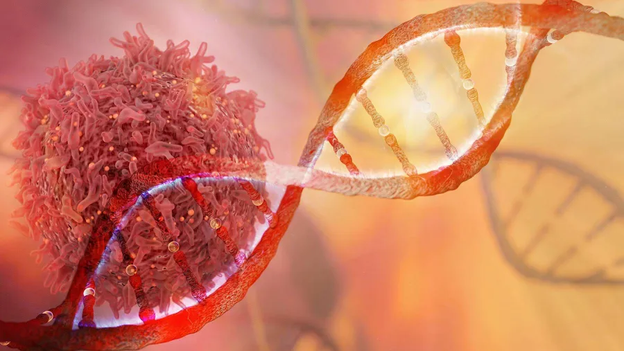 Hidden weapon against aggressive lung cancer discovered in the body